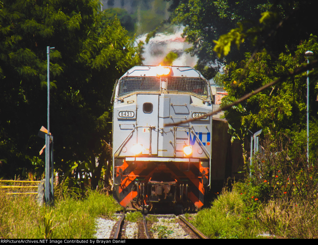 VLI 8431